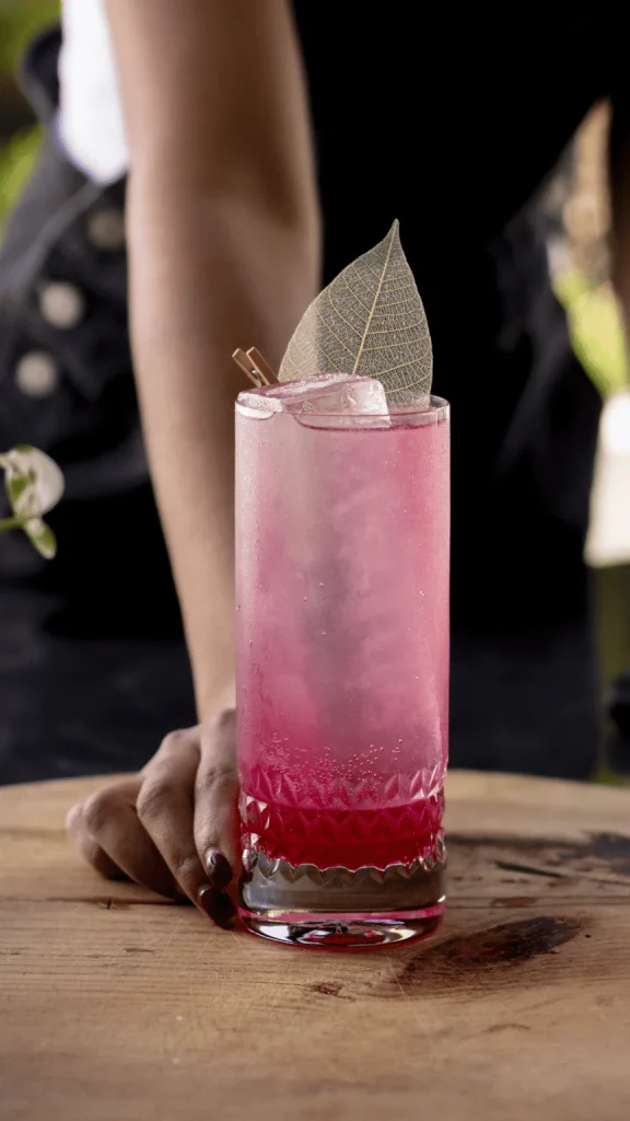 Berry Bloom Collins sne dc BLOG