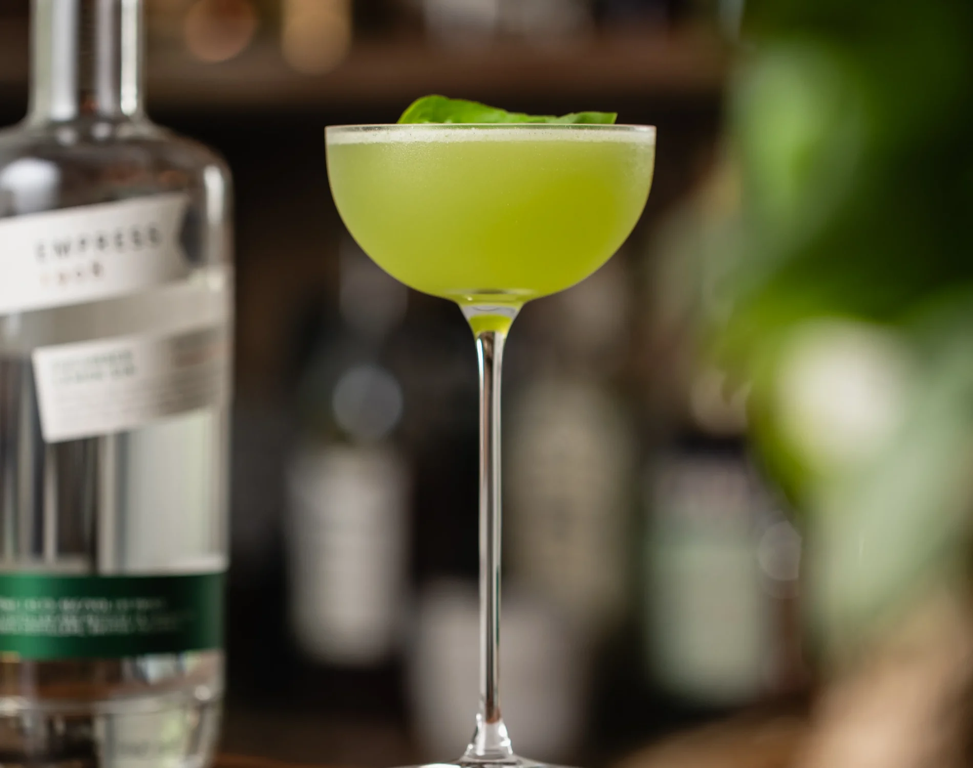 Spicy Gin Gimlet
